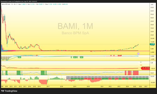 BAMI_2025-08-29_17-58-38_d3ff2.png