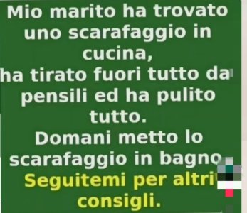 main-qimg-661ca7cf9ef5140f26aa00abd056085d.jpeg