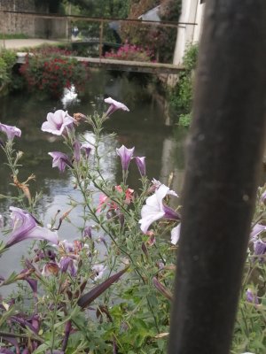 IMG_20250923_152416.jpg