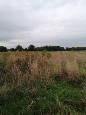 IMG_20250925_094651.jpg