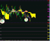 Anonimo4.gif
