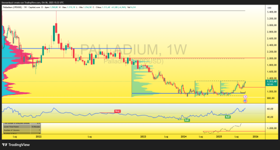 PALLADIUM_2025-10-06_17-33-49.png