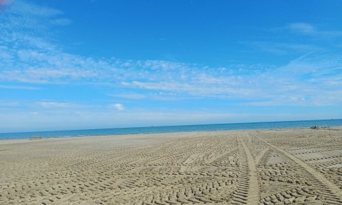 20251009_131141.jpg