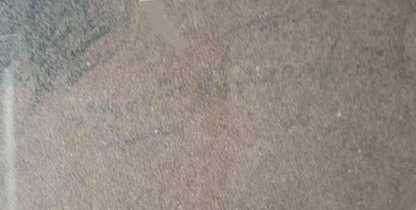 Neumont firma - Copia.jpg