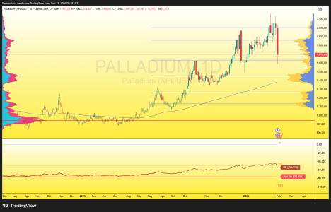 PALLADIUM_2026-01-31_09-28-53_d47fd.png