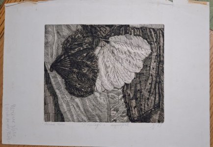 Niero Nerina. I ventagli.  718.jpg