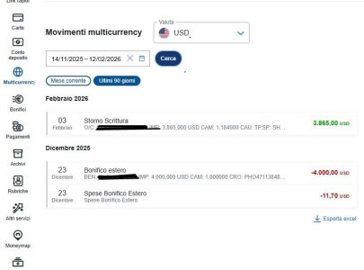 fineco contabile multicurrency3.jpg