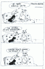 donne1.gif