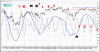 BORSA_004.gif