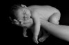 Baby-Newborn-Maternity-Photography037.jpg