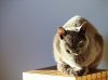 31122010-IMG_8517-Piiki.jpg