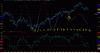 BORSA_006.gif