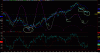 BORSA_065.gif
