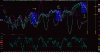 BORSA_149.gif