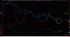 BORSA_150.gif