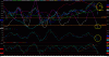 BORSA_363.gif