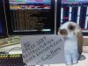 bloomberg4.jpg