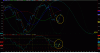BORSA_326.gif