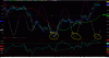 T&C_491.gif