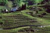 valtellina-vigneti.jpg