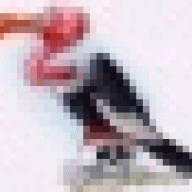 el_butre