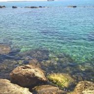 Filippo54