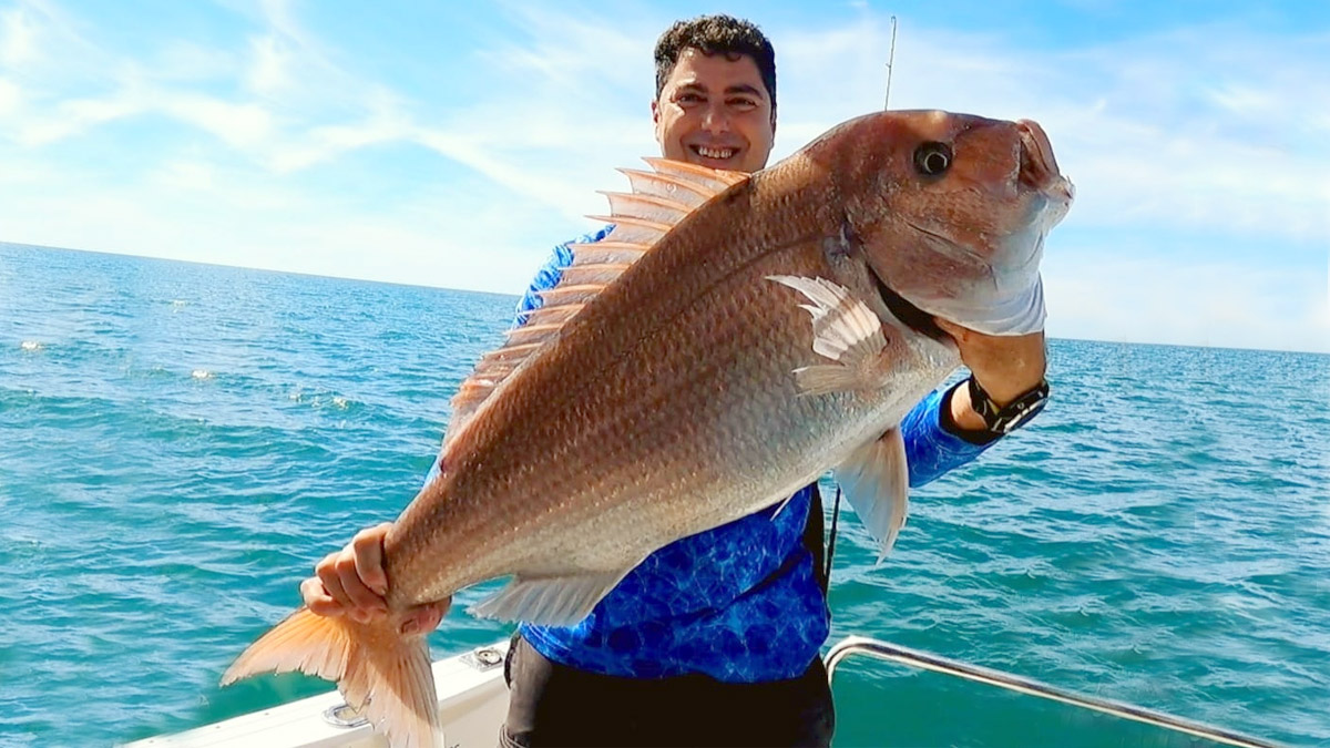 pescadegrandespargos.jpg
