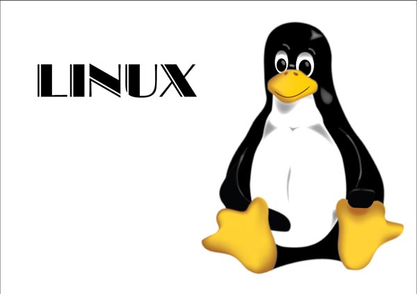 linux.jpg