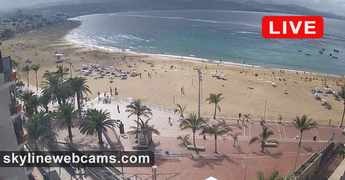 www.skylinewebcams.com