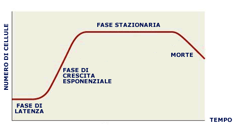 Curva di crescita batteri