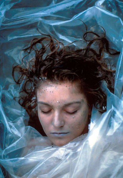 laura-palmer-twin-peaks-4244736-415-600.jpg