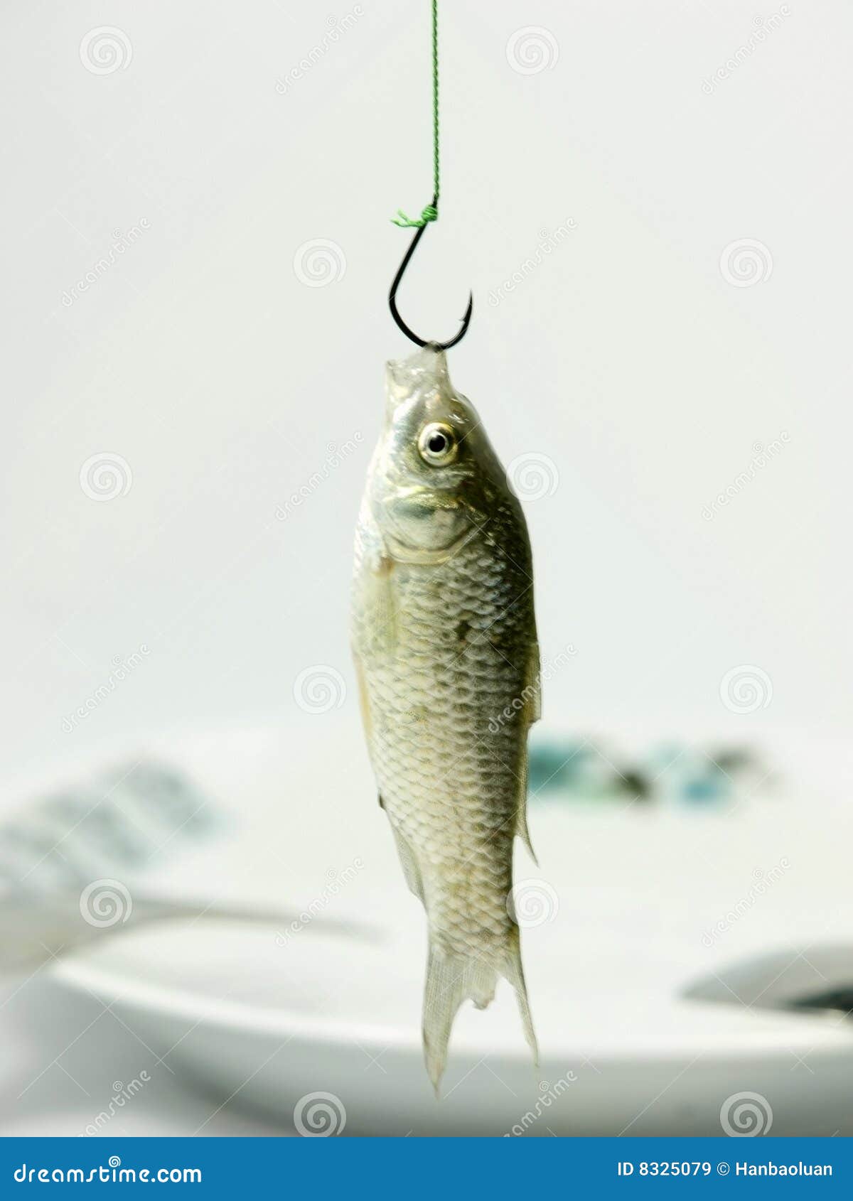 amo-e-pesci-8325079.jpg