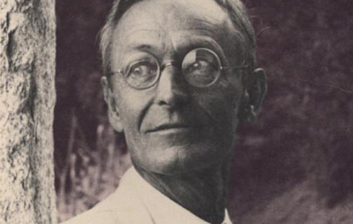 hermann_hesse_purple_crop.jpg