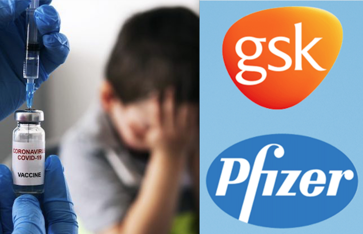 www.gospanews.net