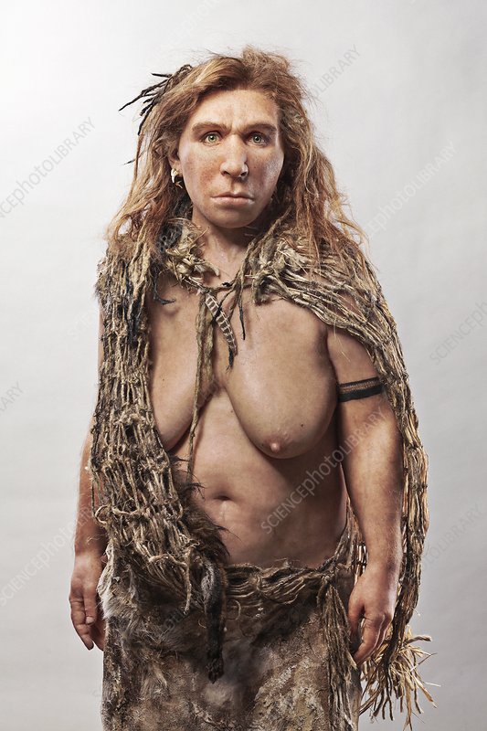 C0397683-Female_Neanderthal_model.jpg