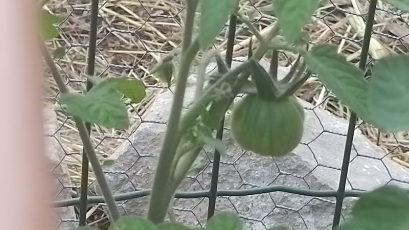 20220523_174112.jpg