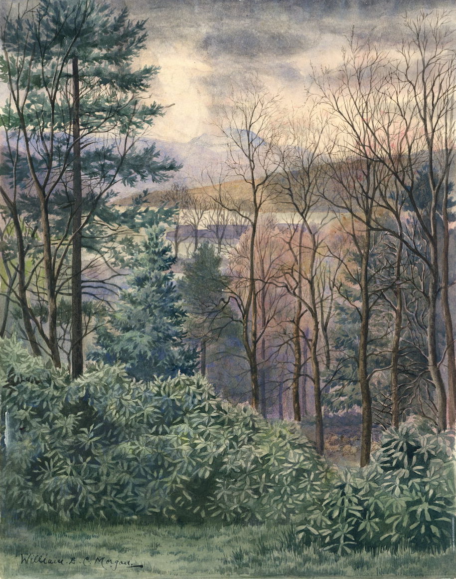 robertmeyrick.co.uk