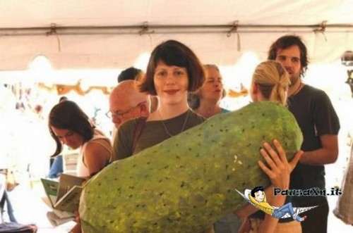 cetriologigante-500x331.jpg
