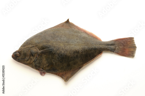 400_F_15381420_cHhNixAr6TUzlkqEhvxwxGEsE90yo6SG.jpg