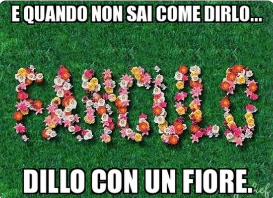 fanculo-jpg.475998