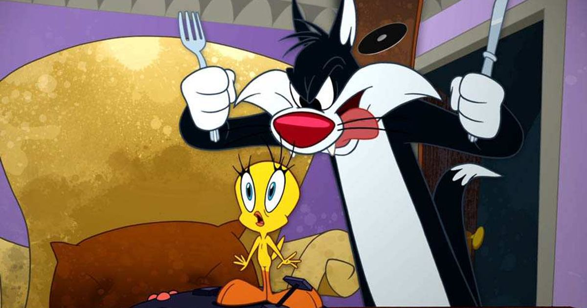 gattosilvestro-1200x630.jpg