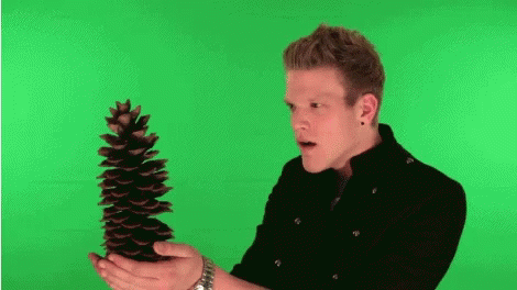 scott-hoying-pine-cone.gif