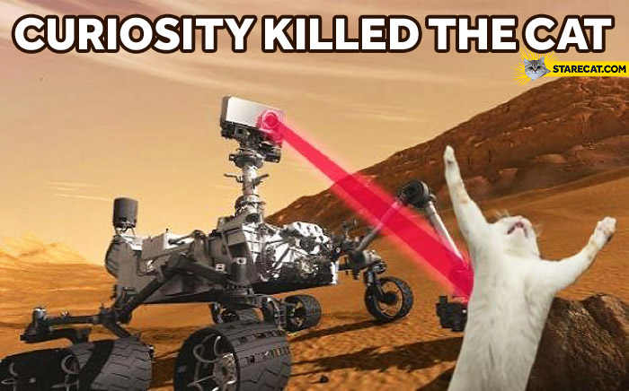 curiosity-killed-the-cat.jpg