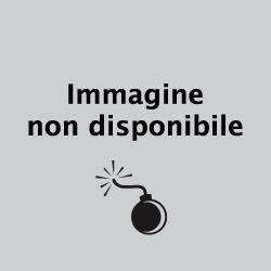 sandra milo incatenata a palazzo chigi