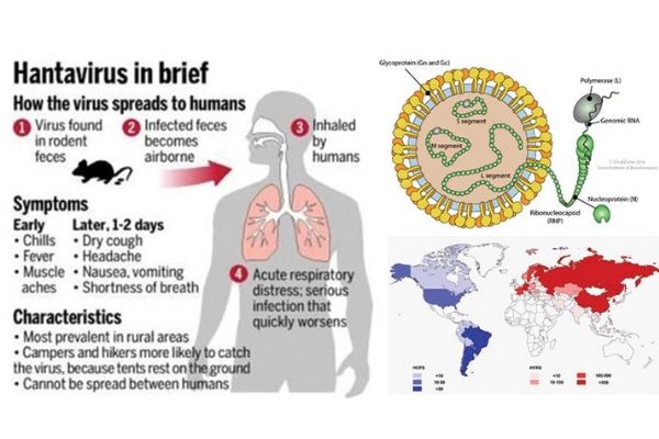 Hantavirus-In-India.jpg