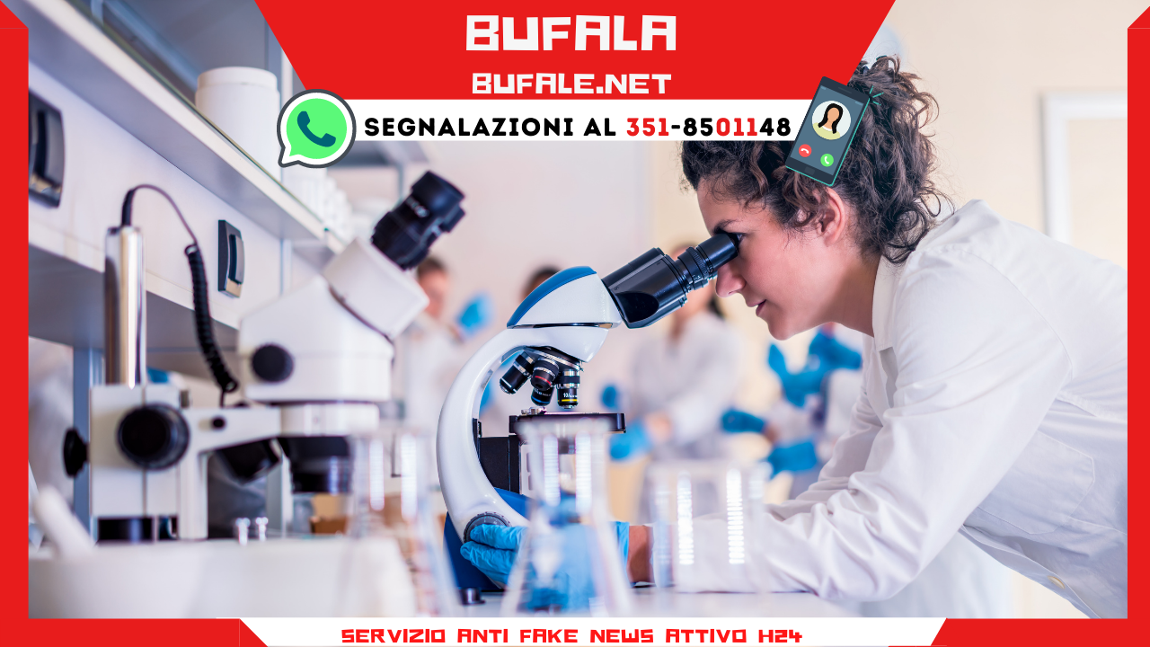 www.bufale.net