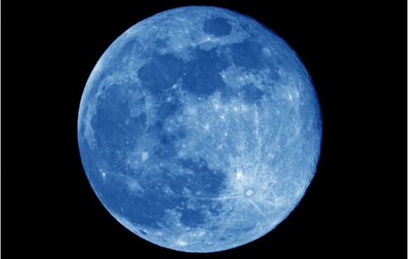 blue-joey-580x368.jpg
