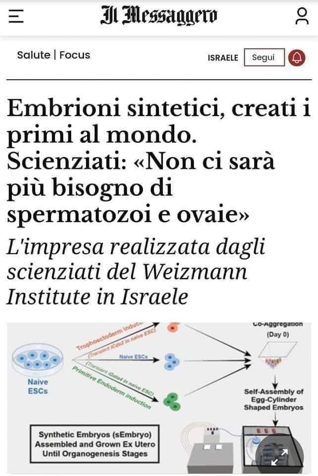 www.maurizioblondet.it