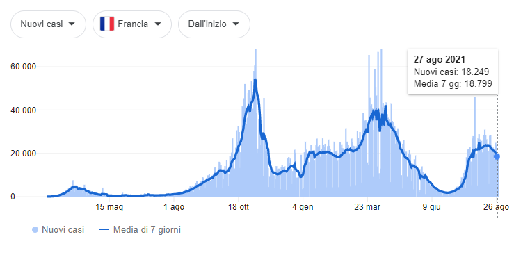 franci-covid-27-8.png