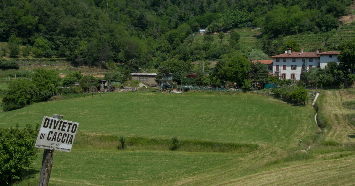www.ilfattoquotidiano.it